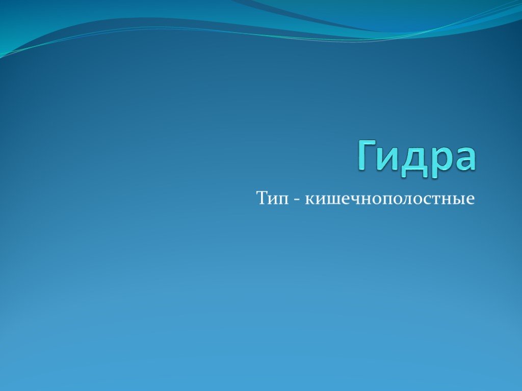 Кракен почему пользователь не найден