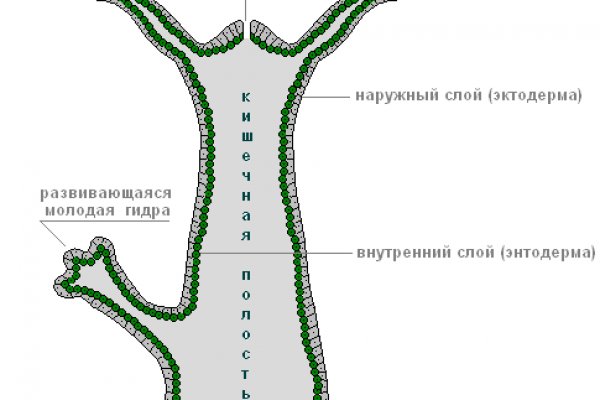 Найдется все кракен